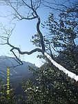 秦岭初雪