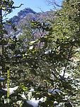 秦岭初雪
