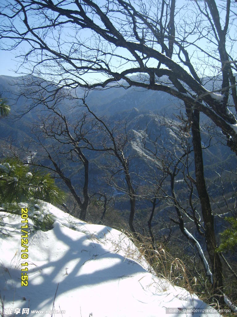 秦岭初雪