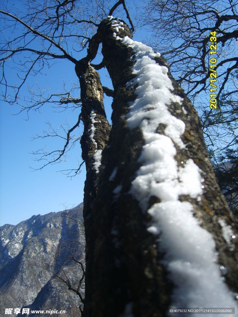 秦岭初雪