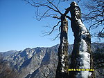 秦岭初雪