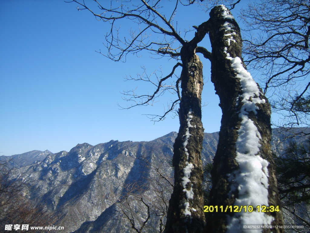 秦岭初雪