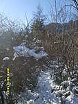 秦岭初雪