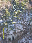 秦岭初雪