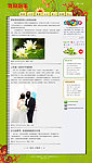 绿色博客网站模板