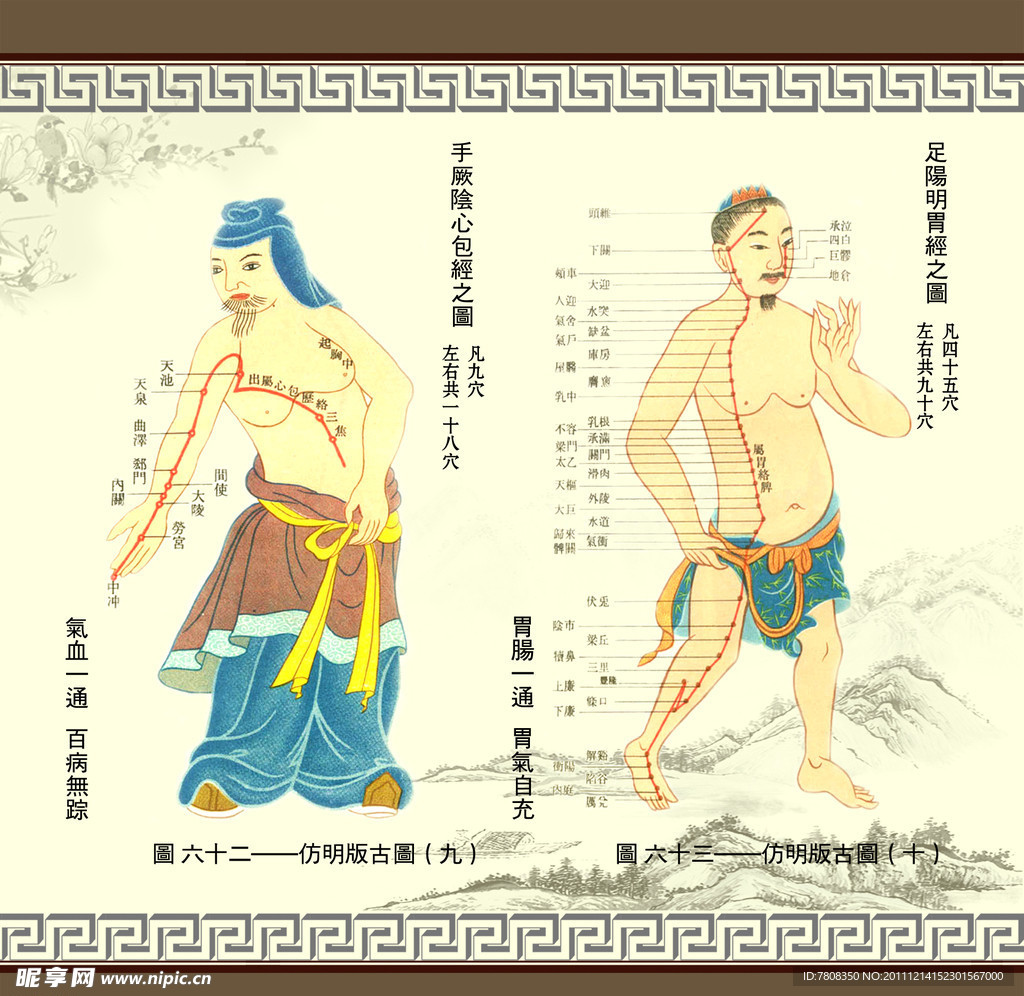 经络图
