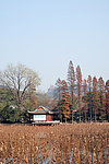 东湖磨山秋