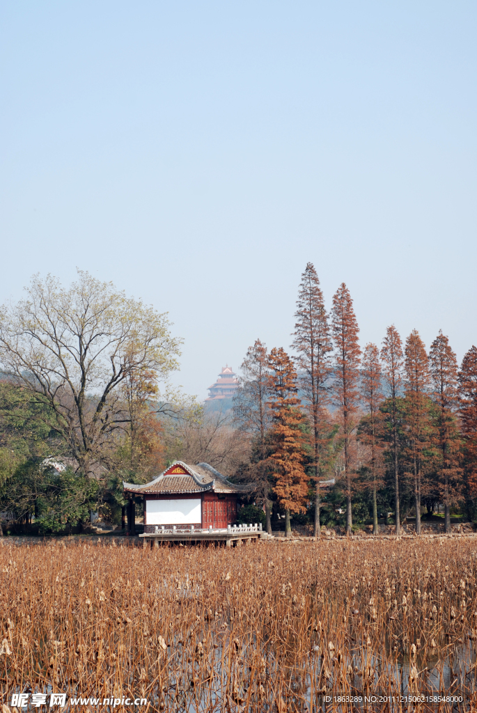 东湖磨山秋