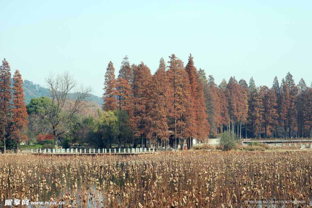 东湖秋景