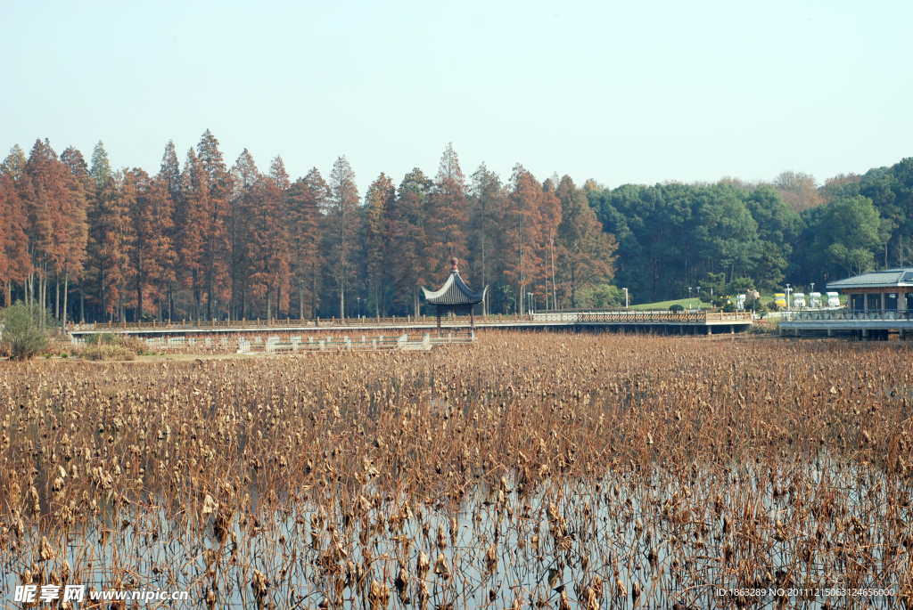 东湖秋景