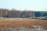 东湖秋景