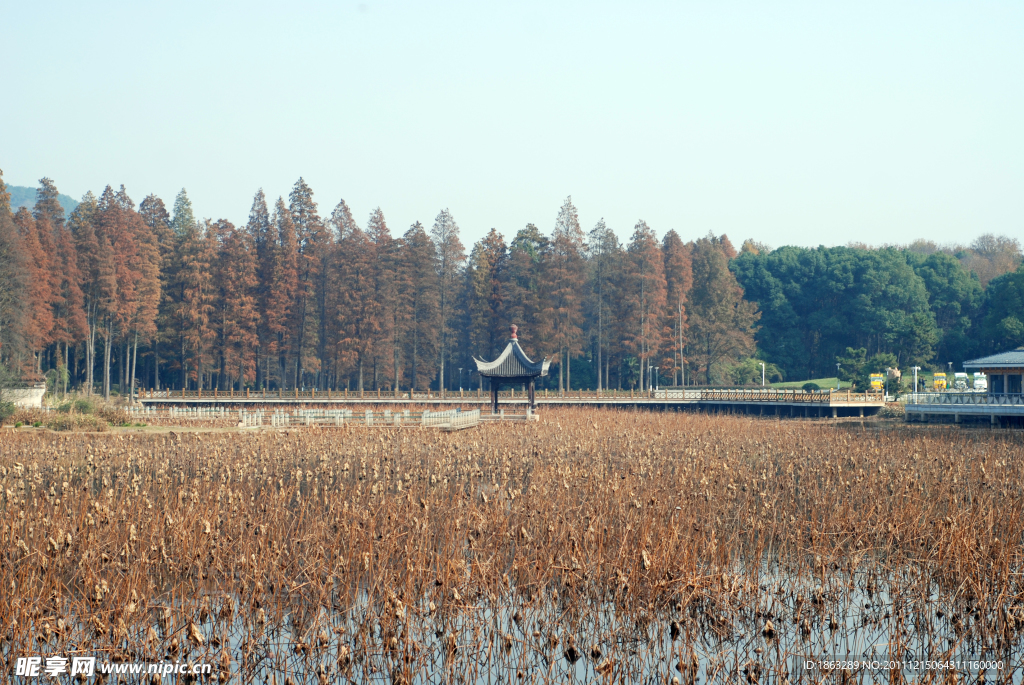 东湖秋景