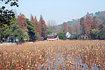 东湖秋