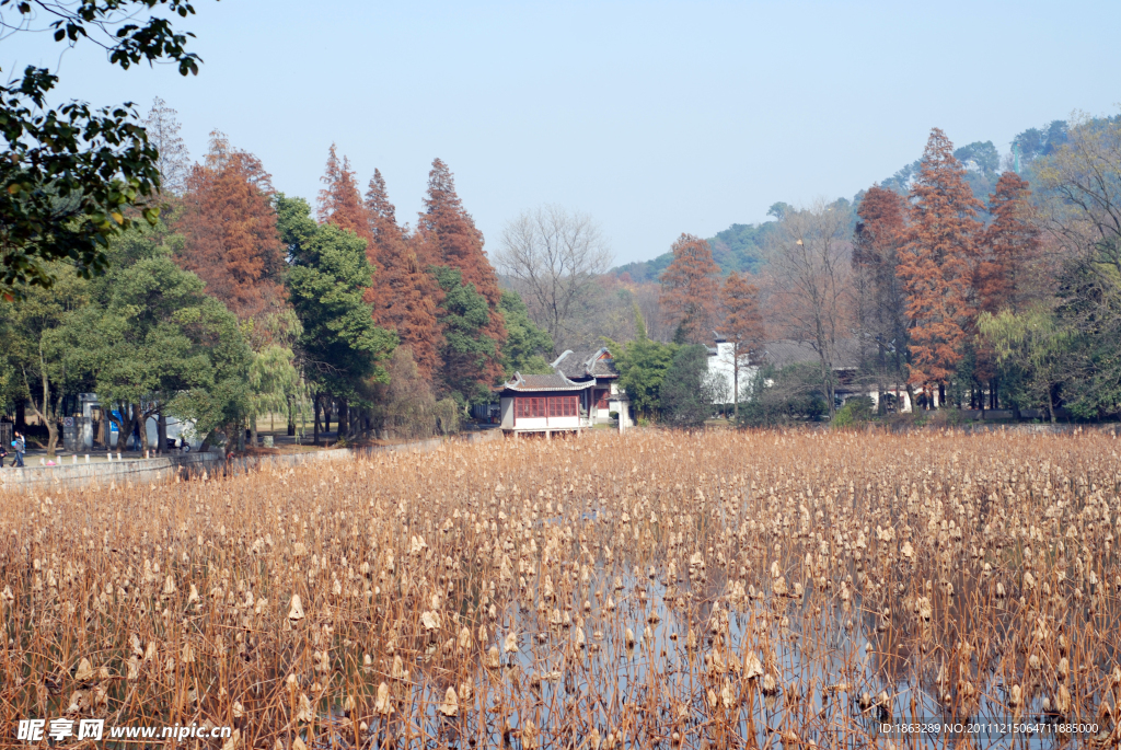 东湖秋