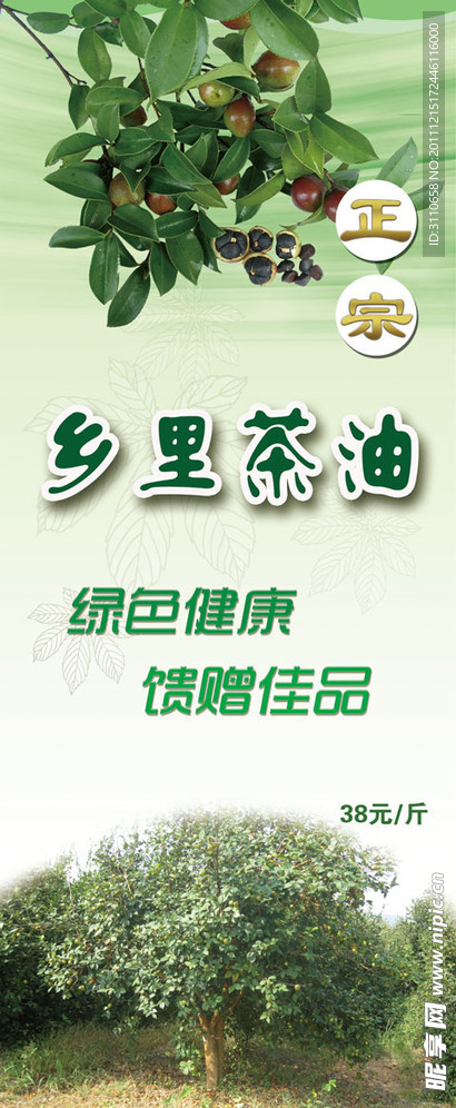 茶油易拉宝