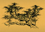 水墨山水