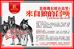 招聘 诚聘 创意诚聘设计 广告公司诚聘
