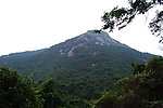 深圳园山风景