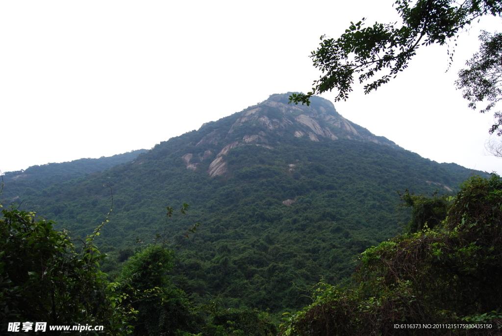 深圳园山风景