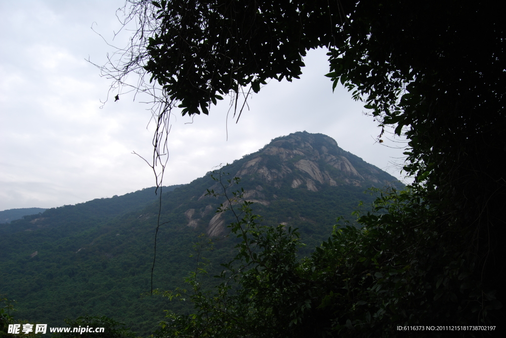 深圳园山风景