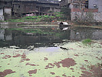 河水蓬船