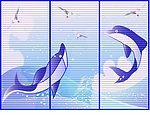 海豚