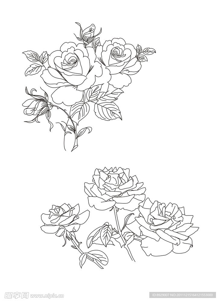 玫瑰花