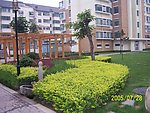 小区花坛