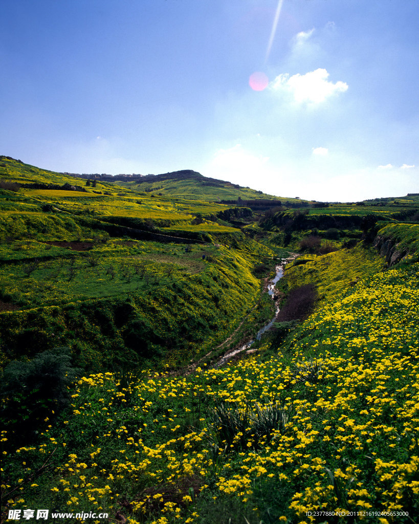 自然风景