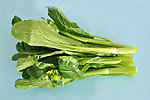 菜心