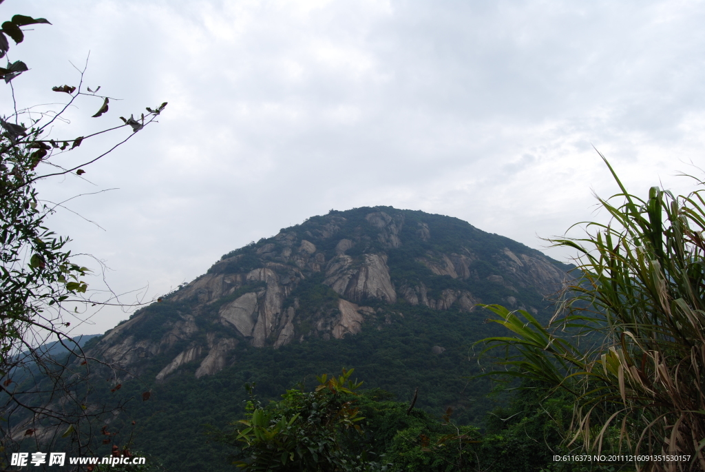 深圳园山风景