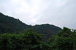 深圳园山风景