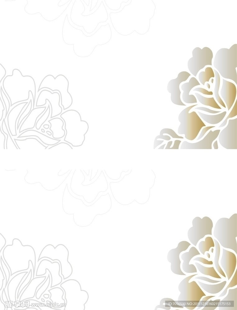 白色 花纹