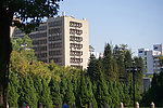 珠江城市