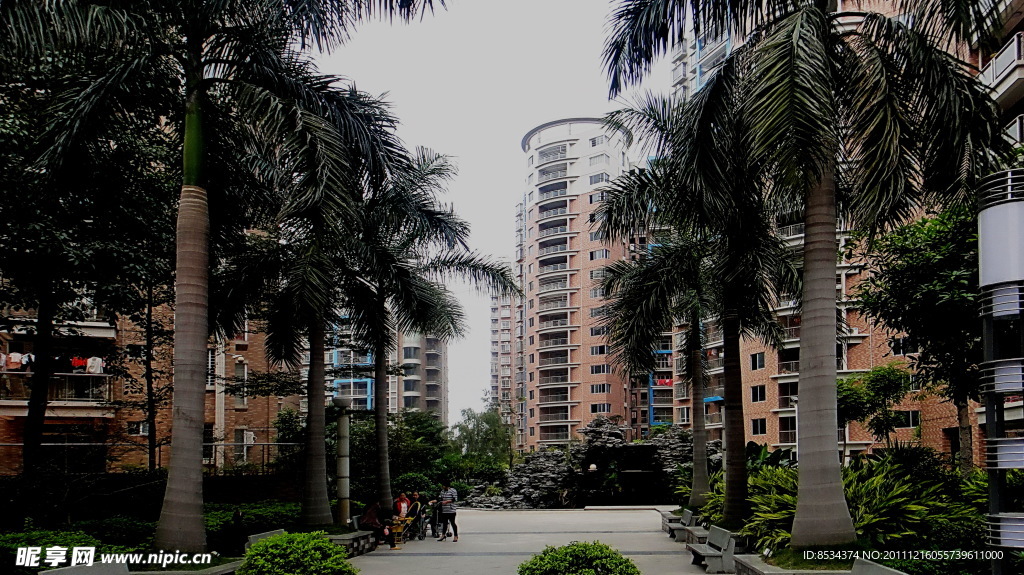 椰林小区