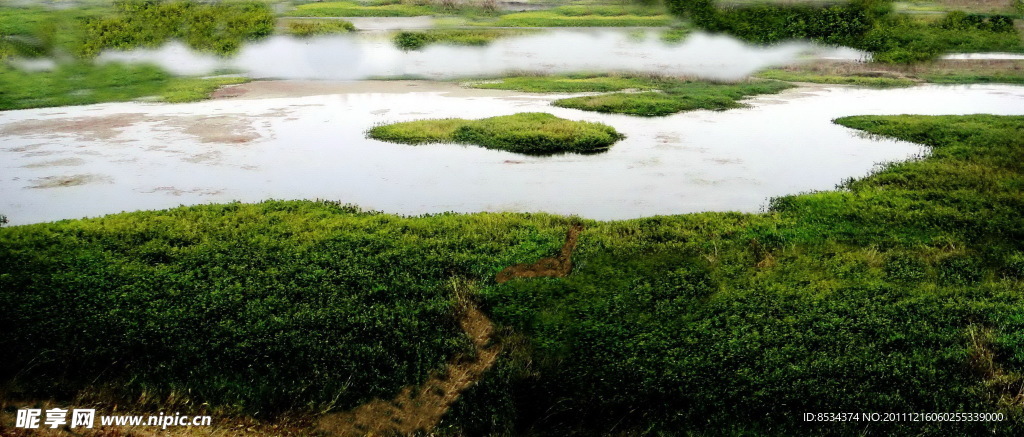 河边的小路