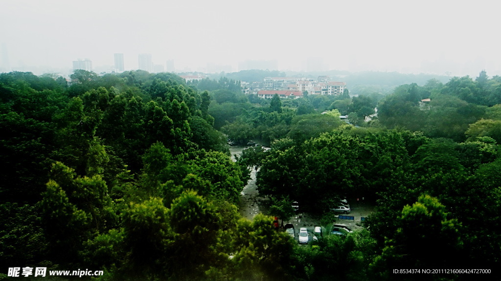 绿色的山村