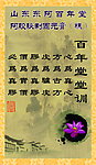 东阿 阿胶 百年堂
