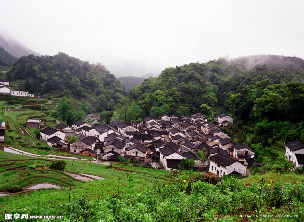 大山富硒村