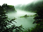 空山新雨后