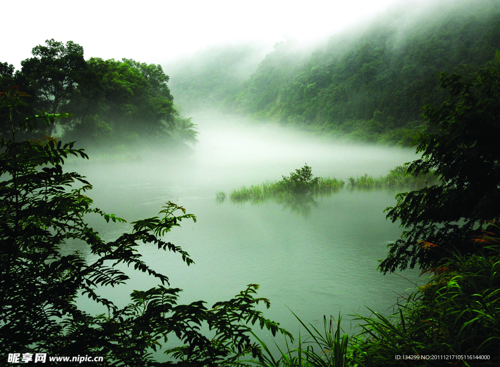 空山新雨后