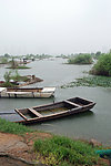 沂河湿地