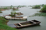 沂河湿地