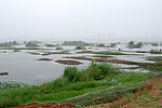 沂河湿地