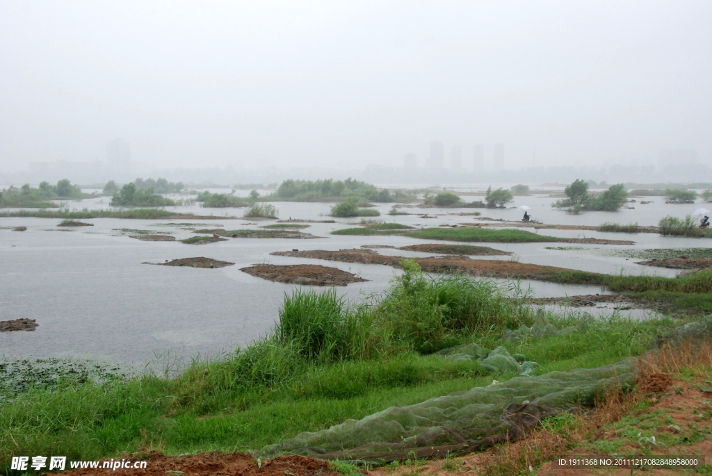 沂河湿地