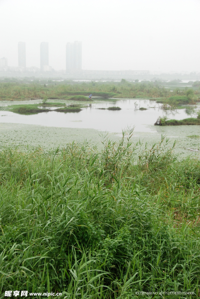 沂河湿地