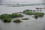 沂河湿地