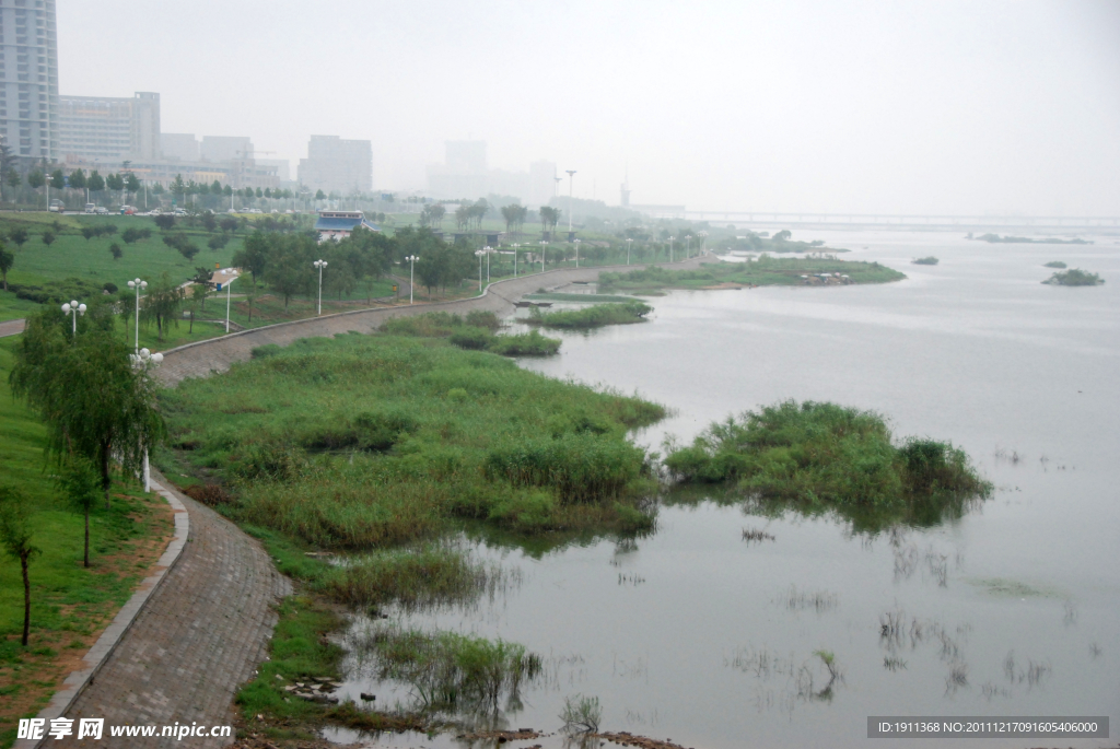 沂河湿地