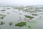 沂河湿地