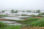 沂河湿地